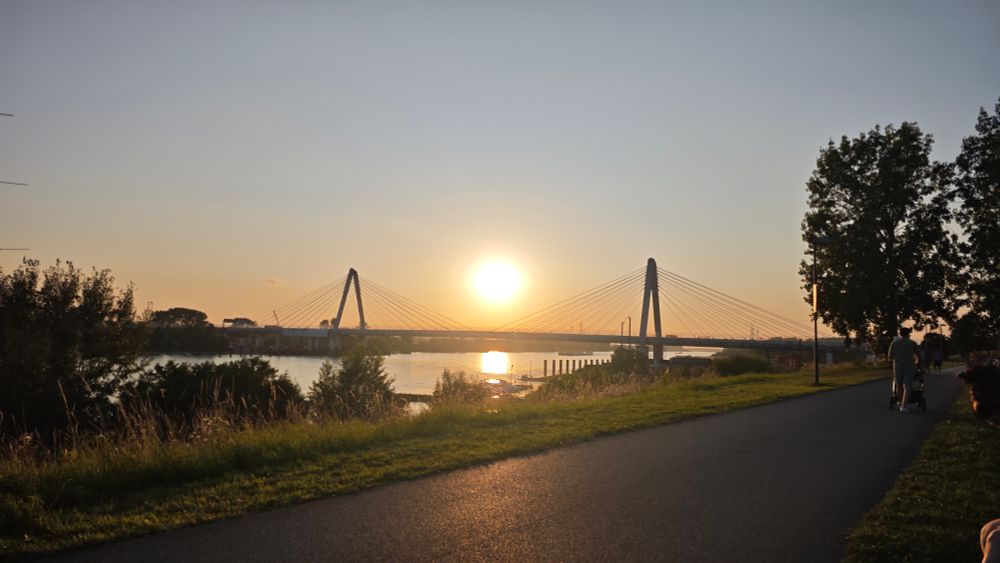 Ein Fuß- und Radweg verläuft entlang eines Flusses, im Hintergrund ist eine moderne Schrägseilbrücke zu sehen. Die Sonne steht tief am Himmel und spiegelt sich im Wasser, während Bäume und Gräser den Vordergrund säumen. Rechts im Bild gehen Menschen spazieren, darunter eine Person mit Kinderwagen.

