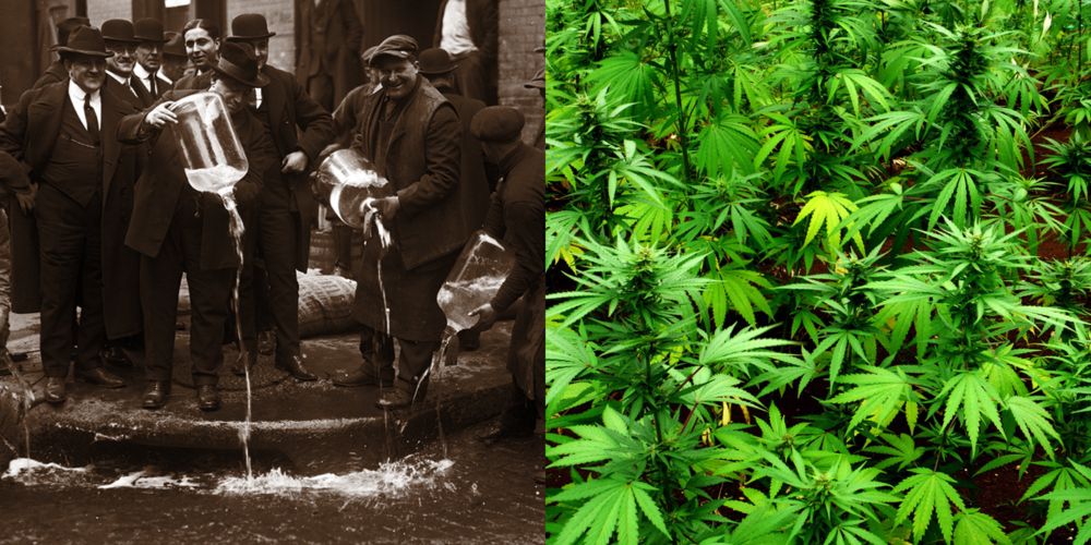 Hooked: Drugs, Prohibition, and American Cities