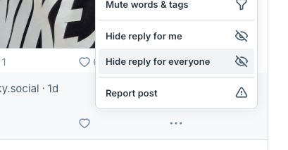 The triple dot popup on a post with the item Hide reply for everyone highlighted.