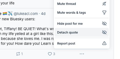 The triple dot popup on a post with the item Detach quote highlighted.