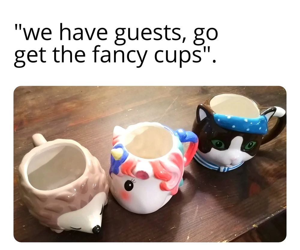 Left to right, hedgehog coffee cup, unicorn coffee cup and and cat coffee cup, with the text on top: "we have guests, go get the fancy cups".