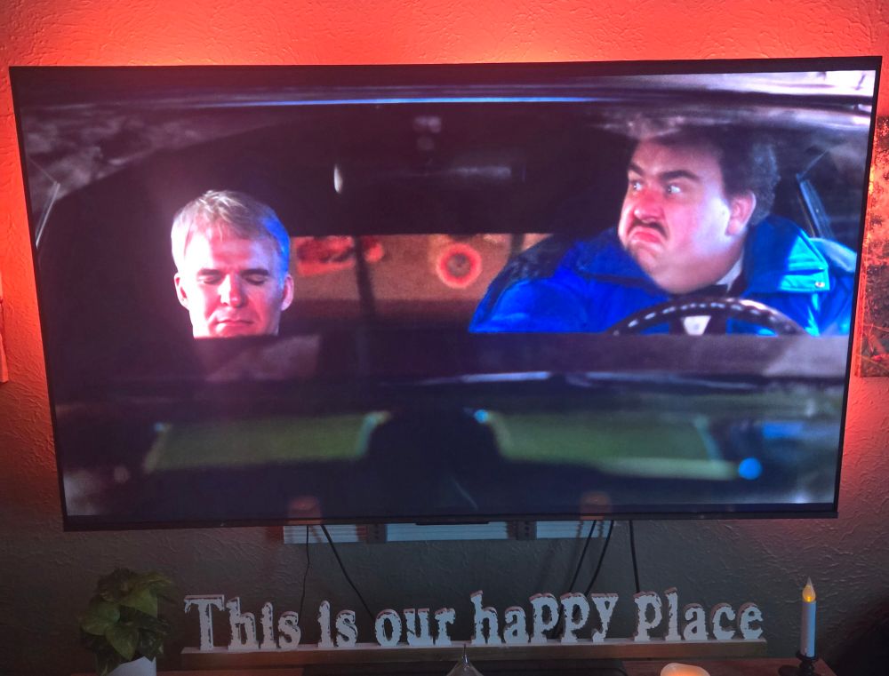 Steve Martin and John Candy in the movie: "Planes, Trains and Automobiles"