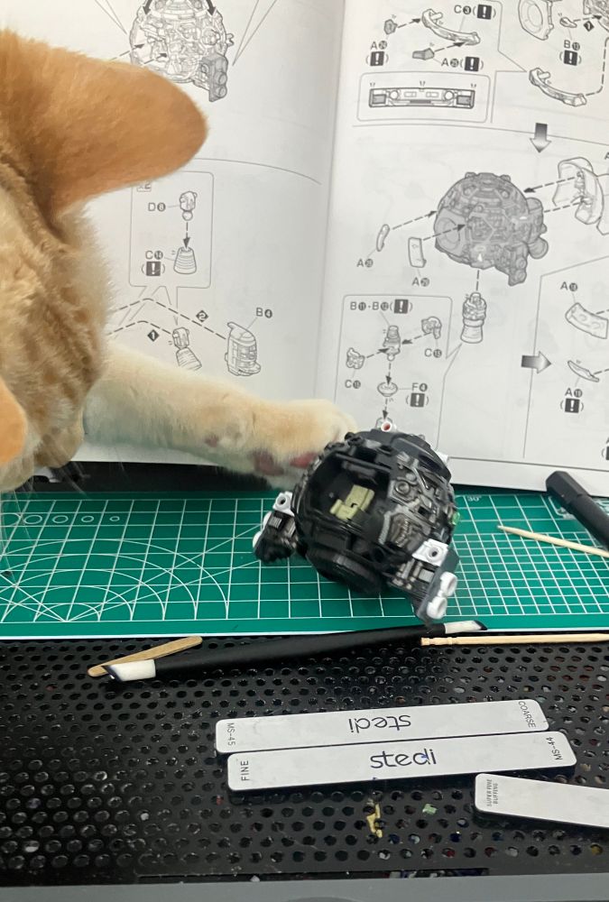 A cat hitting an MG Ball Ver Ka frame