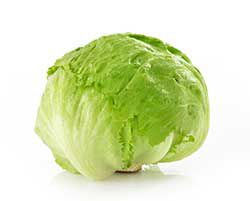 Picture of lettuce 