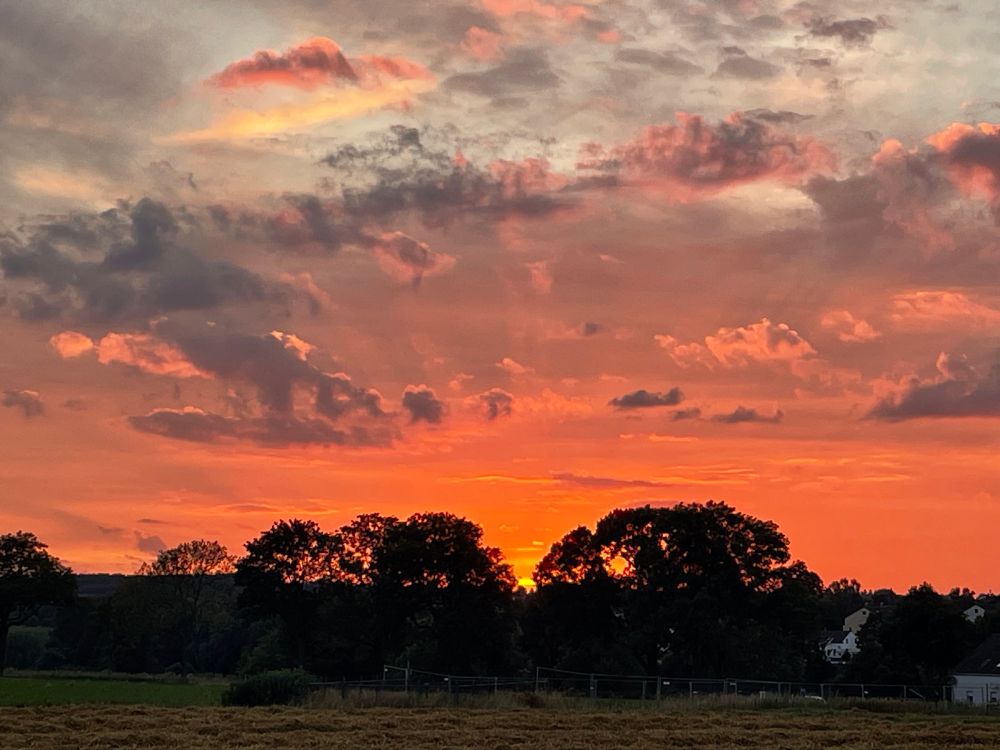 Sonnenuntergang über einem abgeernteten Maisfeld. Warme Farben, am Horizont die Silhouetten von Bäumen. Darüber viele Wolken, teils dunkel. Gesamtes Bild sehr farbintensiv.