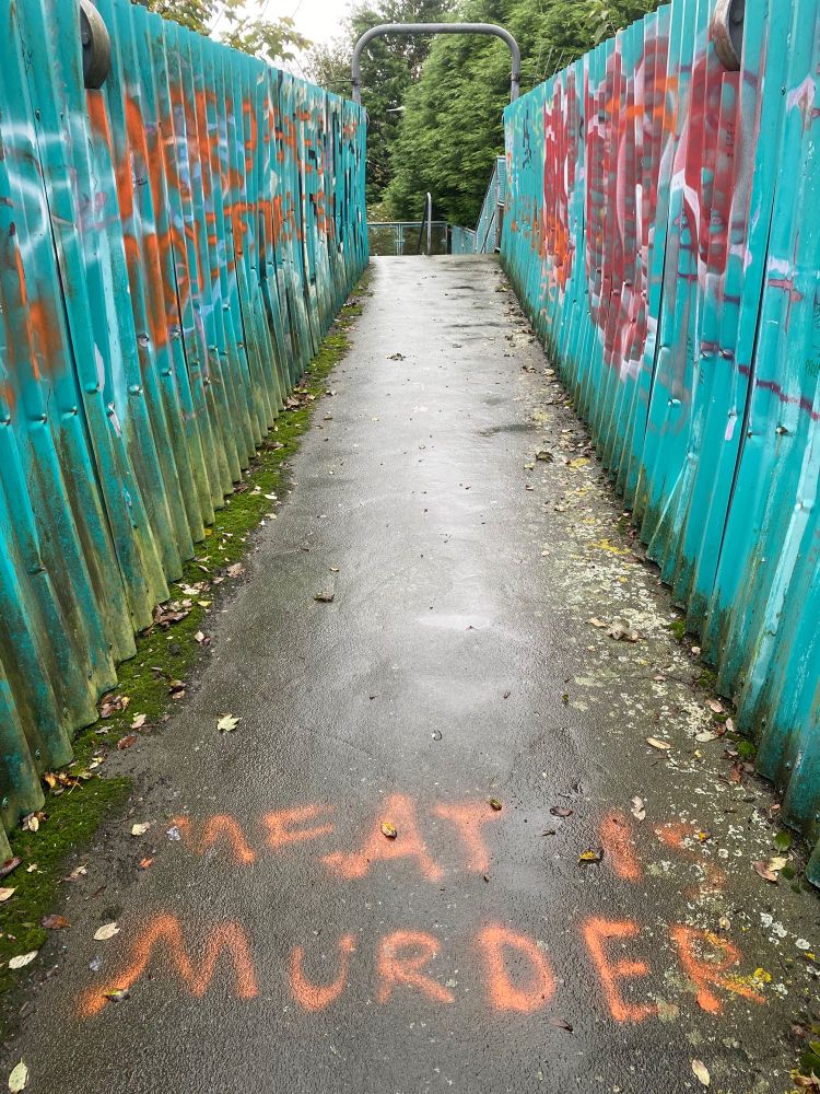 The walkway of a bridge. The sides are blue corrugated iron dense with graffiti. The ground has the words ‘MEAT IS MURDER’ sprayed upon it
