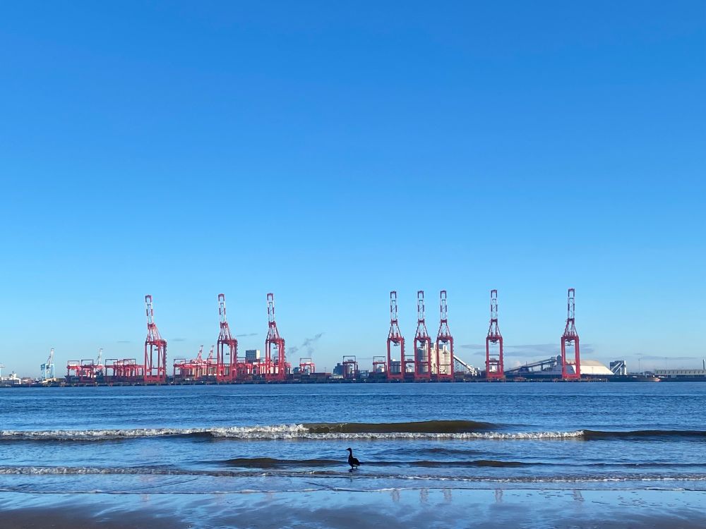 A silhouette of a goose dwarfed by the tide of the river Mersey and eight red and white cranes on the distant shore