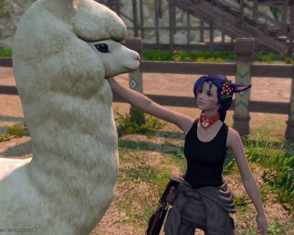 A purple-haired Miqo'te (humanoid cat-like race from Final Fantasy XIV) woman joyfully pets an alpaca in Tuliyollal.