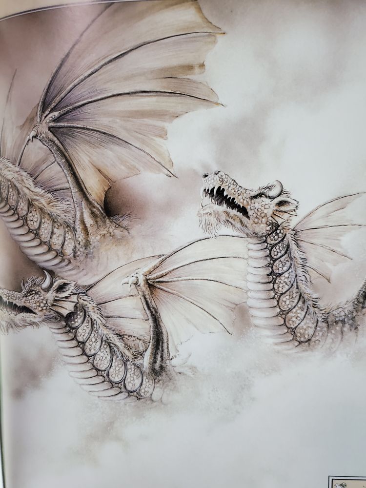 illustration from The Discovery of Dragons by Graeme Base. 3 grey white dragons rise out of misty clouds. they have long necks, furry manes, and a squared snout. two of the faces are cut off from view due to unfortunate page layout