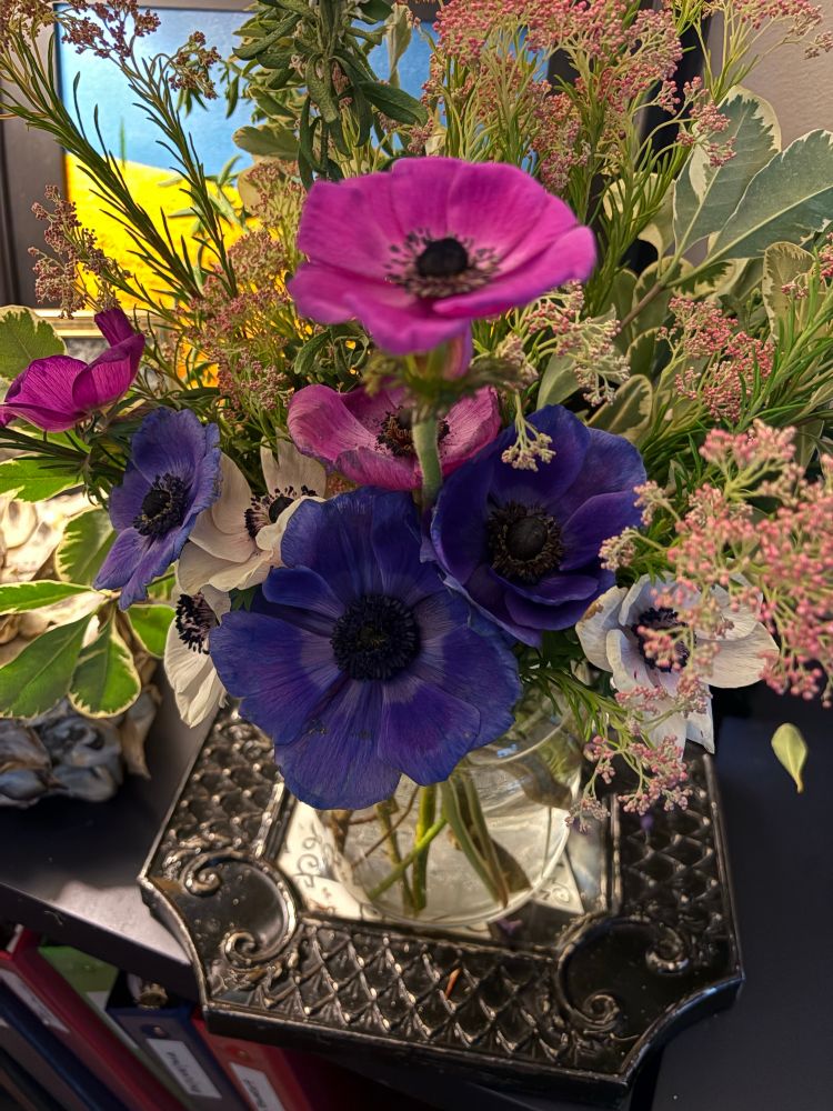 Pink, purple, and white Anemone flowers