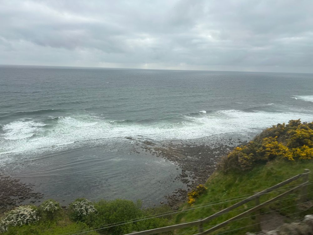 More sea. In the foreground, some gorse bushes.