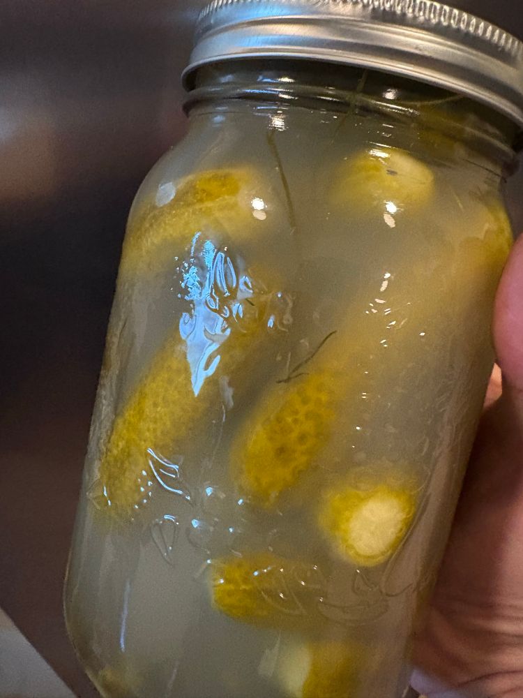 A large mason jar filled with small pickles and a slightly cloudy brine.