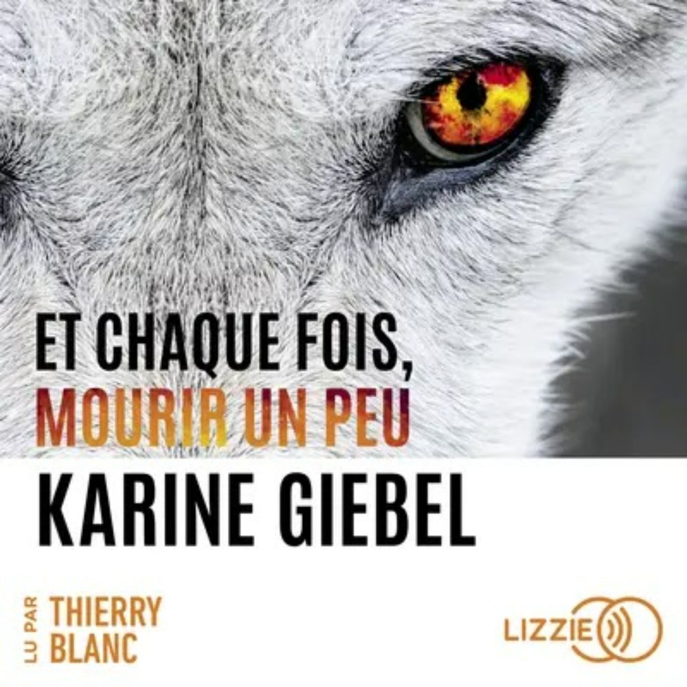 ET CHAQUE FOIS, MOURIR UN PEU Tome 1 de Karine Giebel [audio]