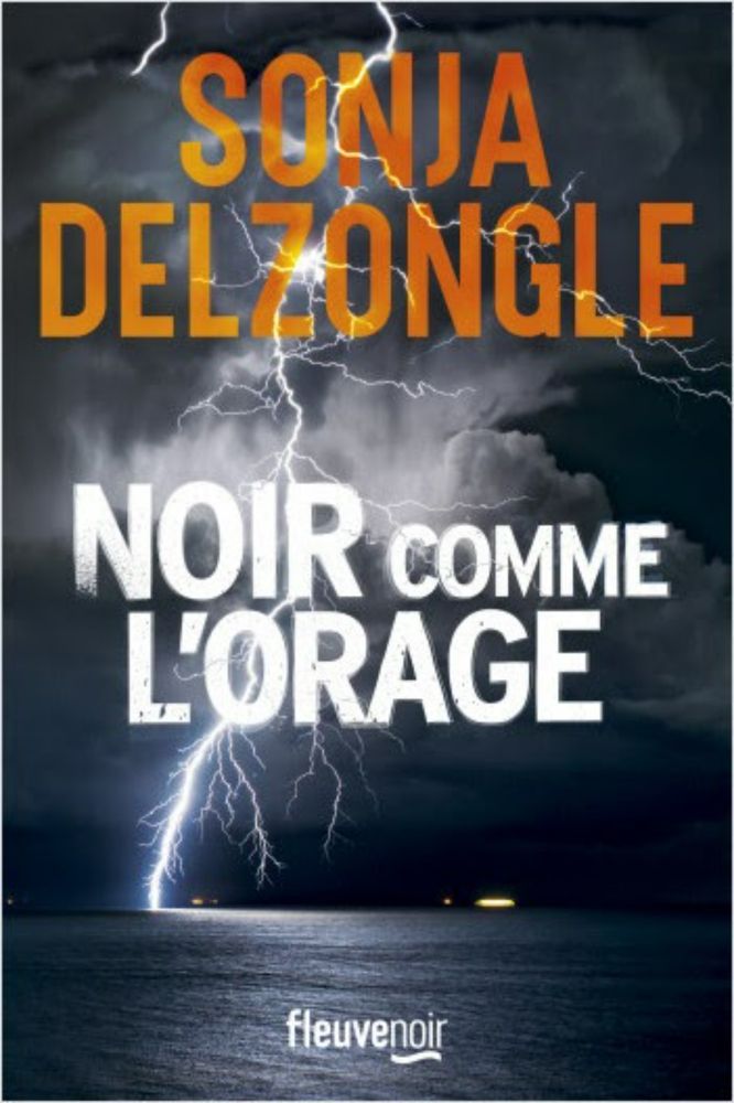 NOIR COMME L'ORAGE de Sonja Delzongle