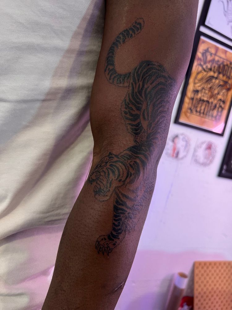 Tatouage d’un tigre rugissant uniquement en noir sans dégradé tracé à la 3 et 7 rl.