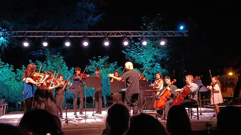 A small orchestra and their conductor playing on stage 