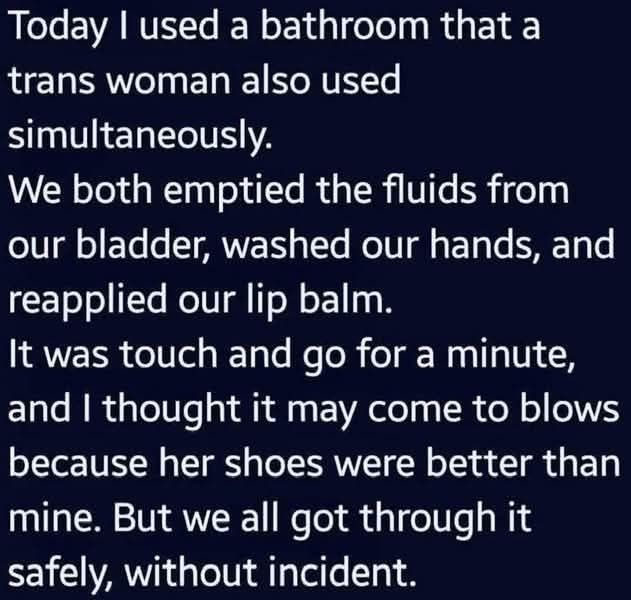 Today I used a bathroom that a trans woman also used simultaneously.

We both emptied the fluids from our bladder, washed our hands, and reapplied our lip balm.

It was touch and go for a minute, and I thought it may come to blows because her shoes were better than mine. But we all got through it safely, without incident.