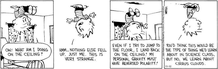 calvin & hobbes, fantasizing about reversed gravity, you think they'd teach you this in school
