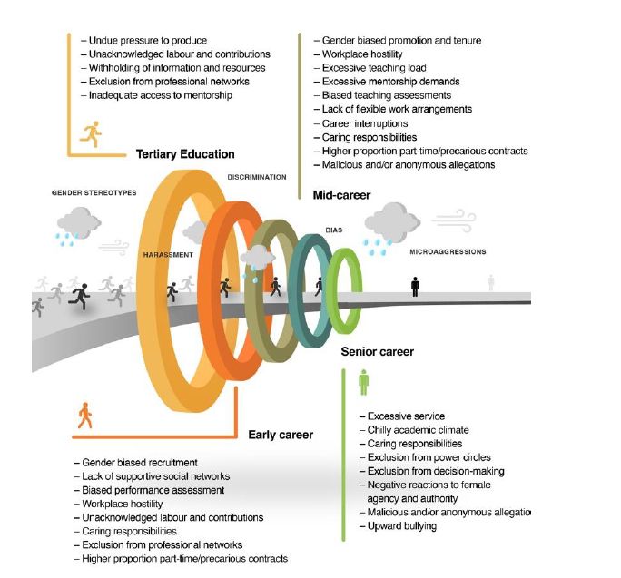 depicts narrowing career paths for women in academia