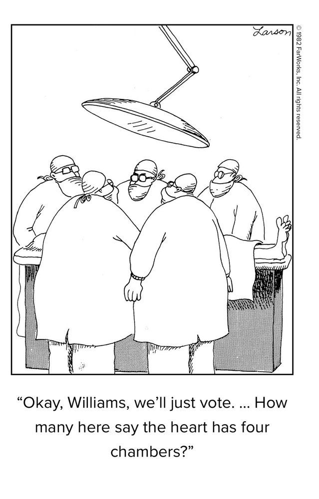 surgeons. Voting on how many chambers are in the heart