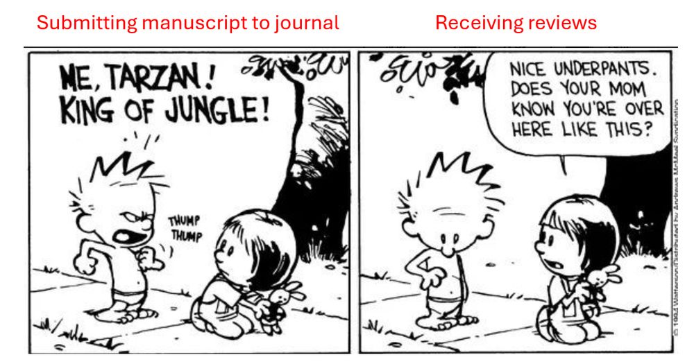 calving & hobbes cartoon, modified. Calvin beats chest and proclaims he's Tarzan (equivalent to submitting paper to journal), next pane Susie mocks his underpants and asks if his mother knows he's over here like this (equivalent to getting reviews)