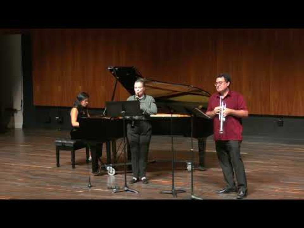 Der Hirt auf Dem Felsen D965  by Franz Schubert D