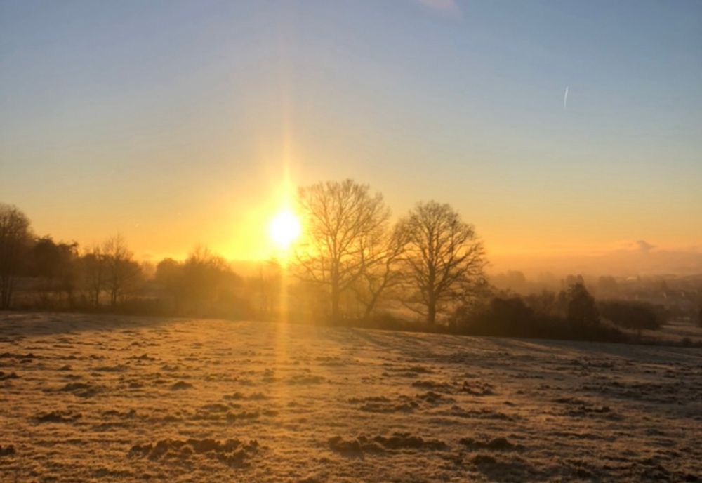Eine winterliche Landschaft bei Sonnenaufgang. Die Sonne steht tief am Horizont und taucht den Himmel in warme Gold- und Orangetöne. Im Vordergrund liegt eine leicht mit Frost bedeckte Wiese, im Hintergrund sind kahle Bäume und sanfte Hügel im Morgennebel zu sehen.