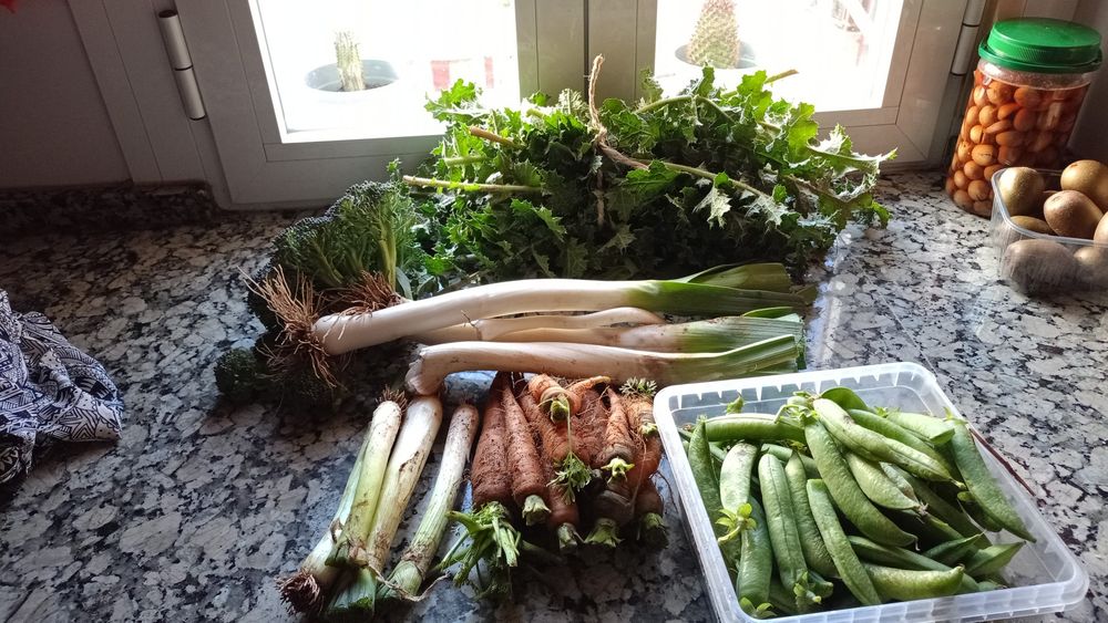Productos de huerto: guisantes, zanahorias, cebolletas, puerros, brócoli y deliciosas tagarninas.