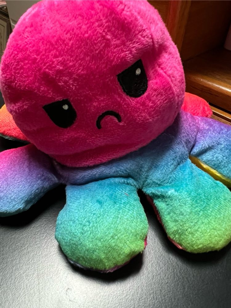 Rainbow-colored fuzzy octopus puppet with a frowny face and tired-looking but determined eyes. 