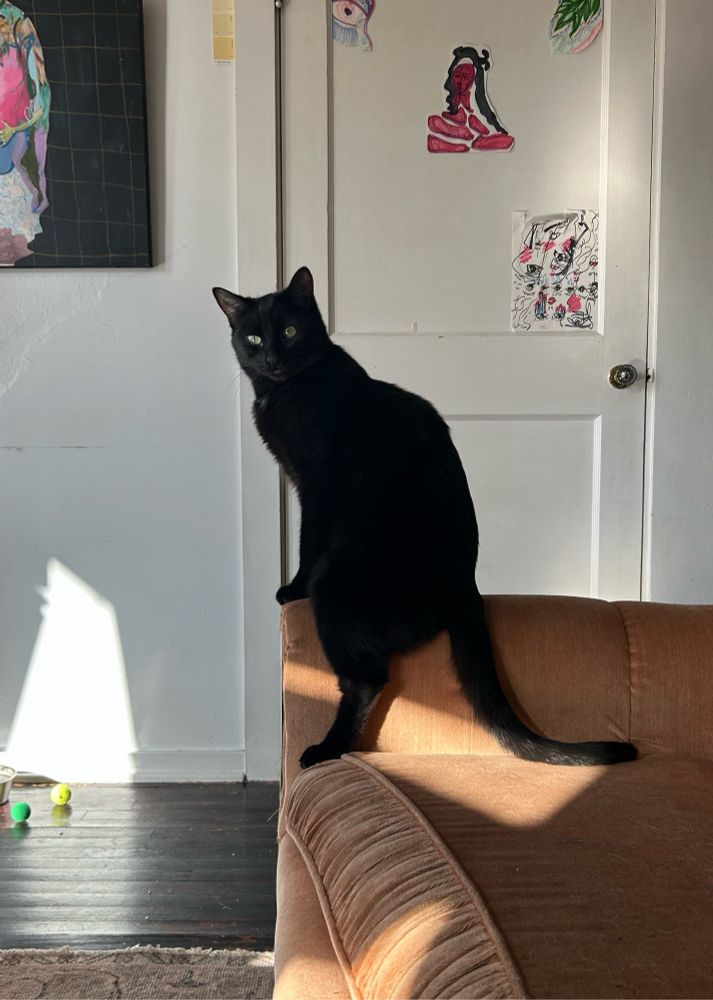 a black cat sitting very awkwardly on the arm of a pink couch