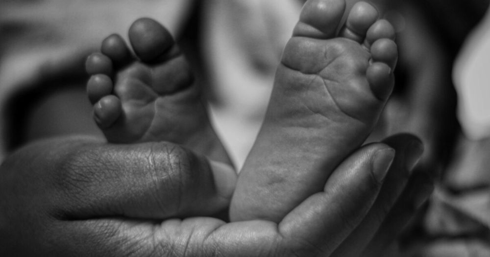 UNC sociologist on the politics around the 'pronatalism' movement to raise the US birth rate