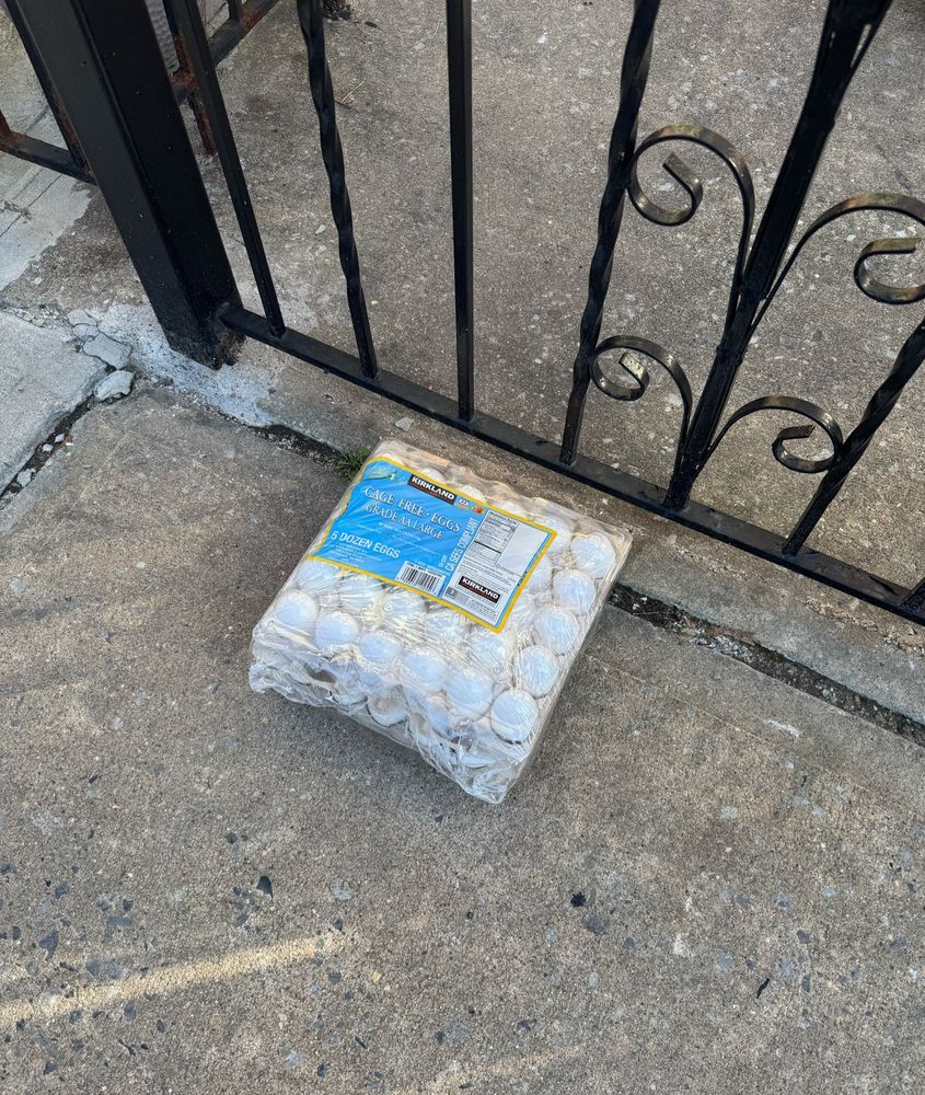 A suspiciously intact package of 50 Costco house brand eggs