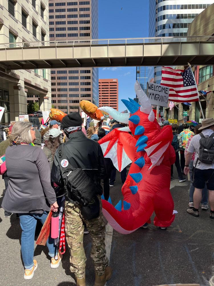 Marchers at No Kings rally