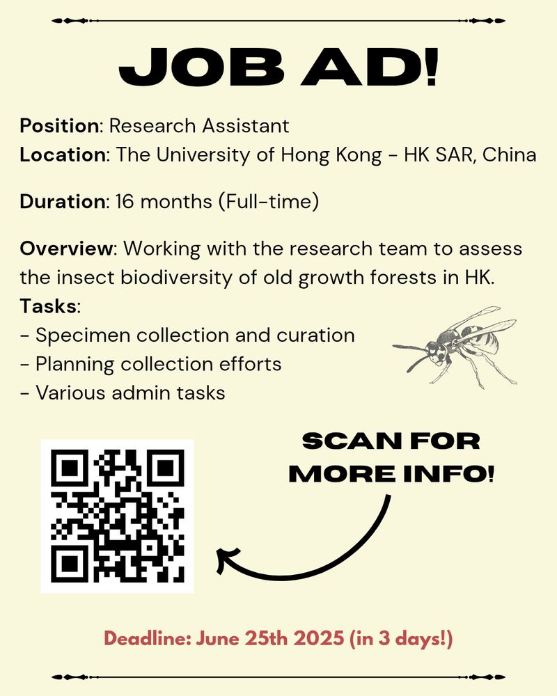📢 📢📢JOB AD! 📢📢📢

👉Position: Research Assistant 

🌏Location: The University of Hong Kong - HK SAR, China

📌Duration: 16 months (Full-time)

⏳Application Deadline: June 25th (in 3 days!)

📌Overview: Working with the research team to assess the insect biodiversity of old growth forests in HK.

📝Tasks: 
-Specimen collection and curation
-Planning collection efforts
-Various admin tasks

📸For more info, scan the QR code on the poster.