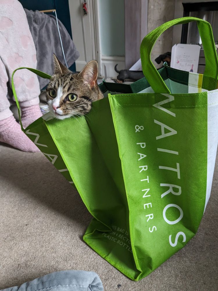 Waitrose green best sale hessian bag