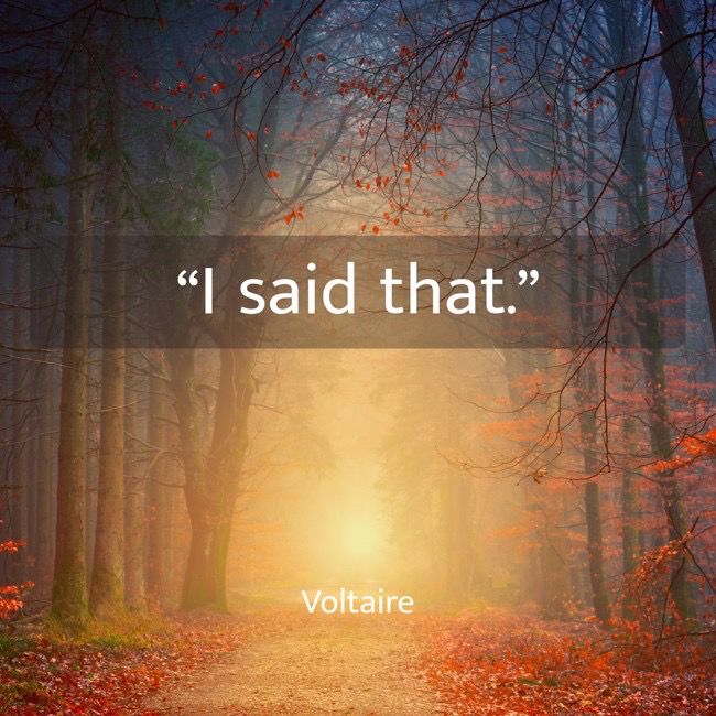 An image of a path in an autumn forest with the words “I said that” and Voltaire superimposed.