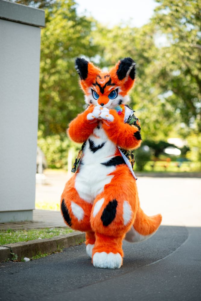 A person in a bright orange fox costume with blue eyes, black markings, a Hawaiian shirt, and a colorful flower lei, striking a playful pose while walking outside on a sunny day.
