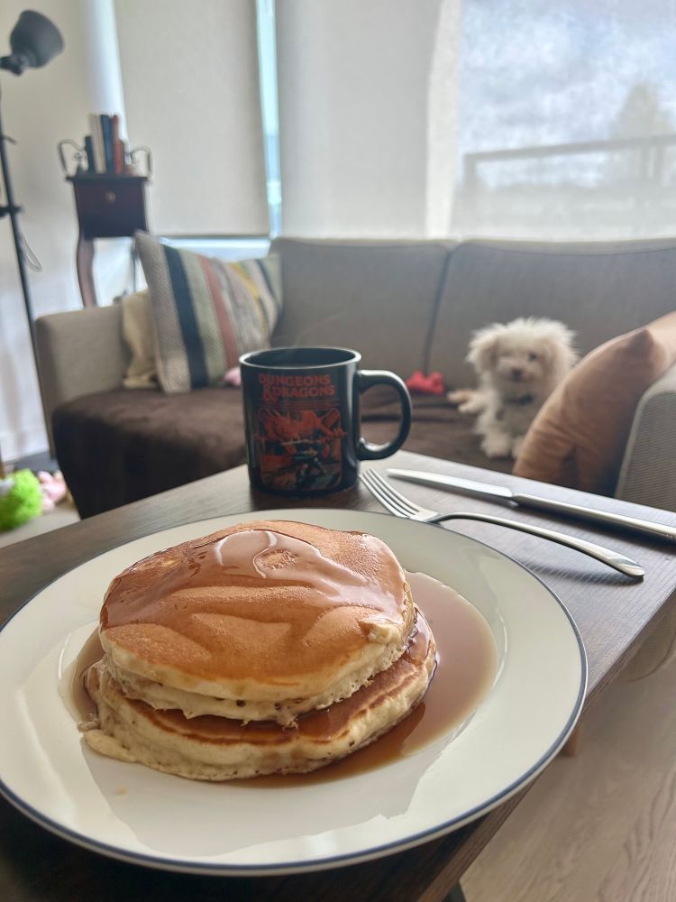 Two stacked pancakes with syrup served on a white plate with a blue line in the rim. In the back we see a couch with a small fluffy dog staring at the pancakes 