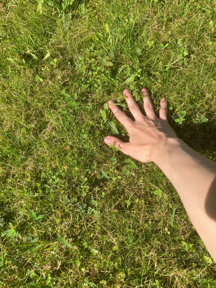 Touching grass