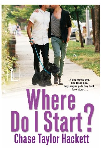 A boy-meets-boy/boy-loses-boy/boy-maybe-gets-boy-back story.