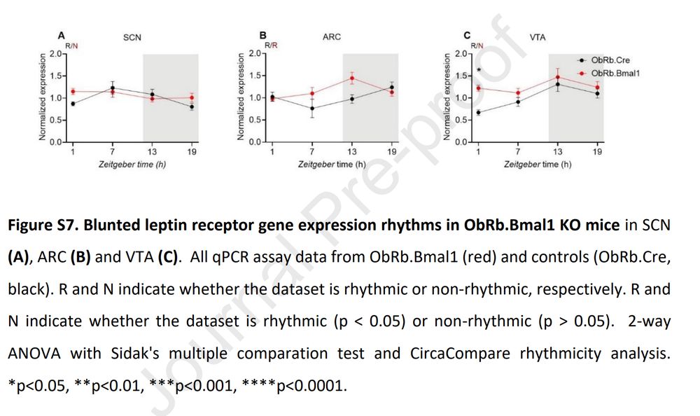 https://www.sciencedirect.com/science/article/pii/S2212877825001280