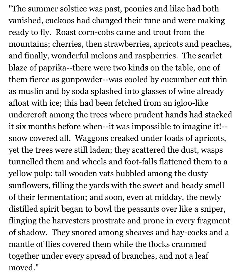 "The summer solstice was past, peonies and lilac had both vanished, cuckoos had changed their tune and were making ready to fly. Roast corn-cobs came and trout from the mountains; cherries, then strawberries, apricots and peaches, and finally, wonderful melons and raspberries. The scarlet blaze of paprika--there were two kinds on the table, one of them fierce as gunpowder--was cooled by cucumber cut thin as muslin and by soda splashed into glasses of wine already afloat with ice; this had been fetched from an igloo-like undercroft among the trees where prudent hands had stacked it six months before when--it was impossible to imagine it!--snow covered all. Waggons creaked under loads of apricots, yet the trees were still laden; they scattered the dust, wasps tunnelled them and wheels and foot-falls flattened them to a yellow pulp; tall wooden vats bubbled among the dusty sunflowers, filling the yards with the sweet and heady smell of their fermentation; and soon, even at midday, the newly distilled spirit began to bowl the peasants over like a sniper, flinging the harvesters prostrate and prone in every fragment of shadow. They snored among sheaves and hay-cocks and a mantle of flies covered them while the flocks crammed together under every spread of branches, and not a leaf moved."