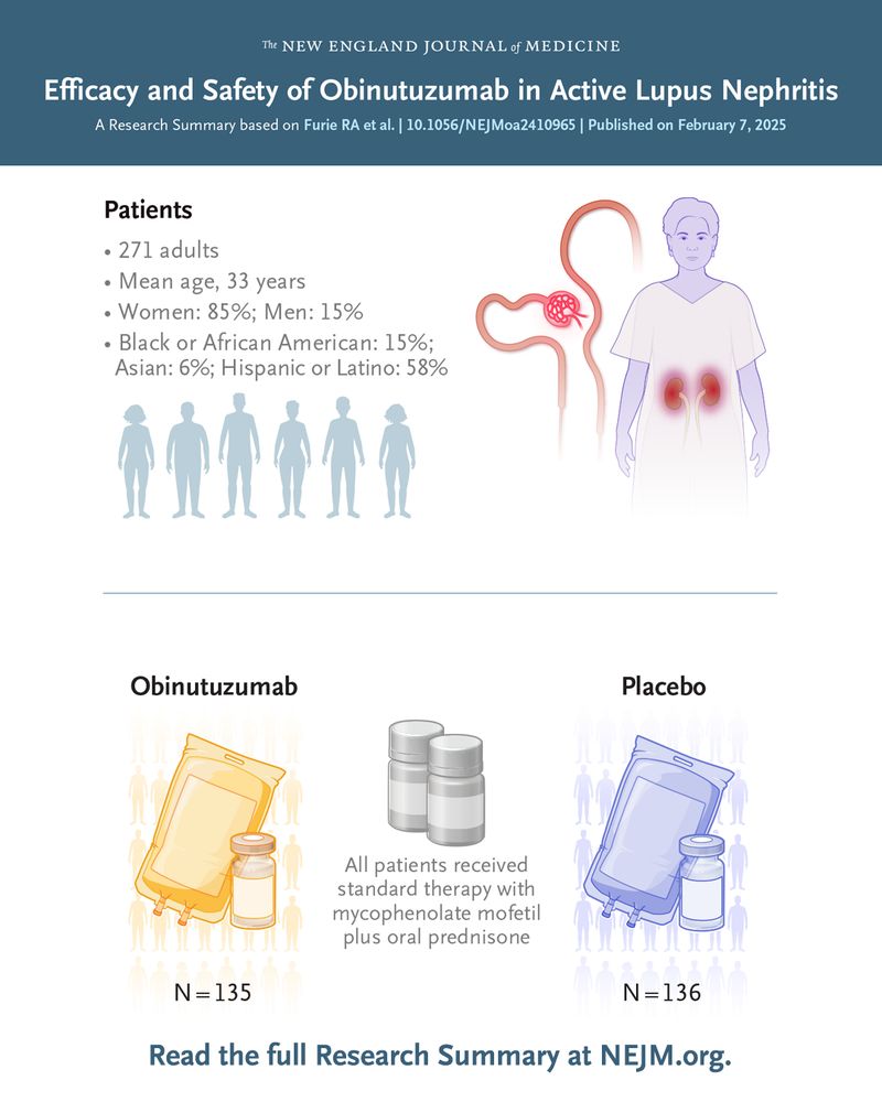 The New England Journal of Medicine     
Efficacy and Safety of Obinutuzumab in Active Lupus Nephritis 
A Research Summary based on Furie RA et al. | 10.1056/NEJMoa2410965 | Published on February 7, 2025 

Visual representations of the patients in the trial and the treatments they were assigned.         

Read the full Research Summary at NEJM.org. 
