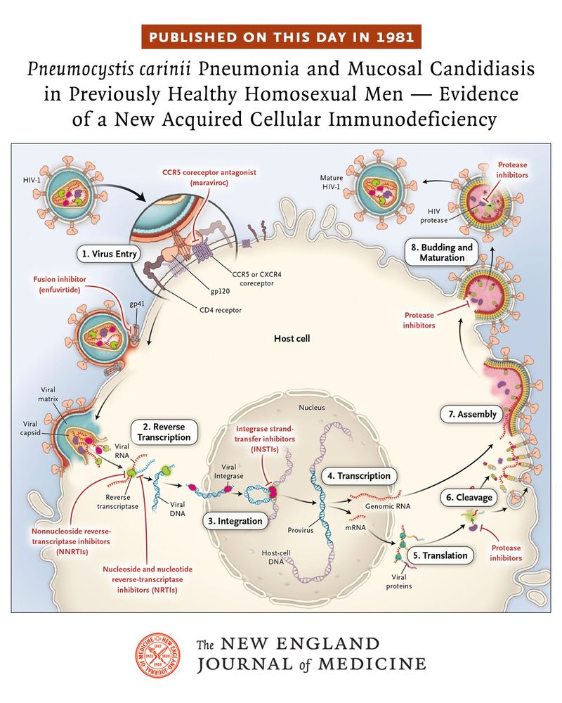 Published on This Day in 1981.  
Pneumocystis carinii Pneumonia and Mucosal Candidiasis in Previously Healthy Homosexual Men — Evidence of a New Acquired Cellular Immunodeficiency  

An illustration showing the reproductive cycle of human immunodeficiency virus type 1 (HIV-1) and sites of action of the major classes of antiretroviral medications.  

The NEJM identity sits at the bottom. 