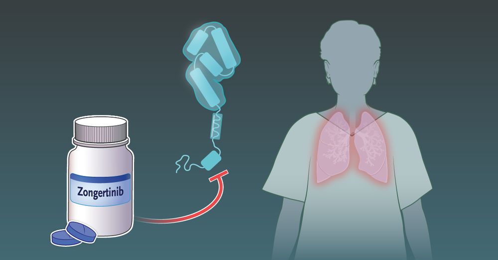 An illustration of zongertinib for treating patients with HER2-mutant non–small-cell lung cancer. 