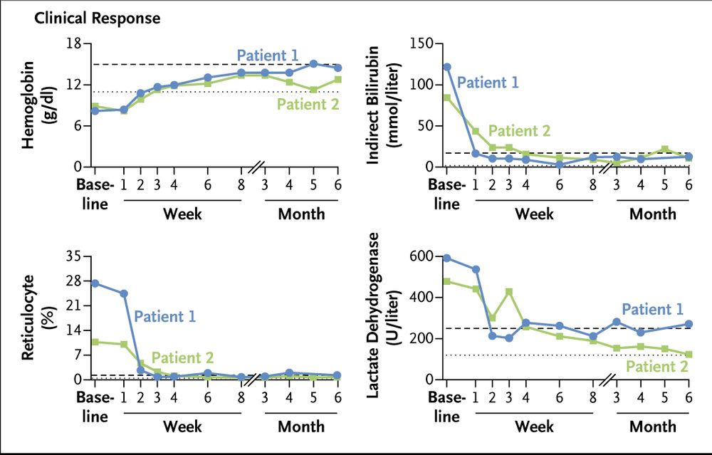 The clinical responses in Patients 1 and 2 before and after the first dose of CM336 through 6 months. 