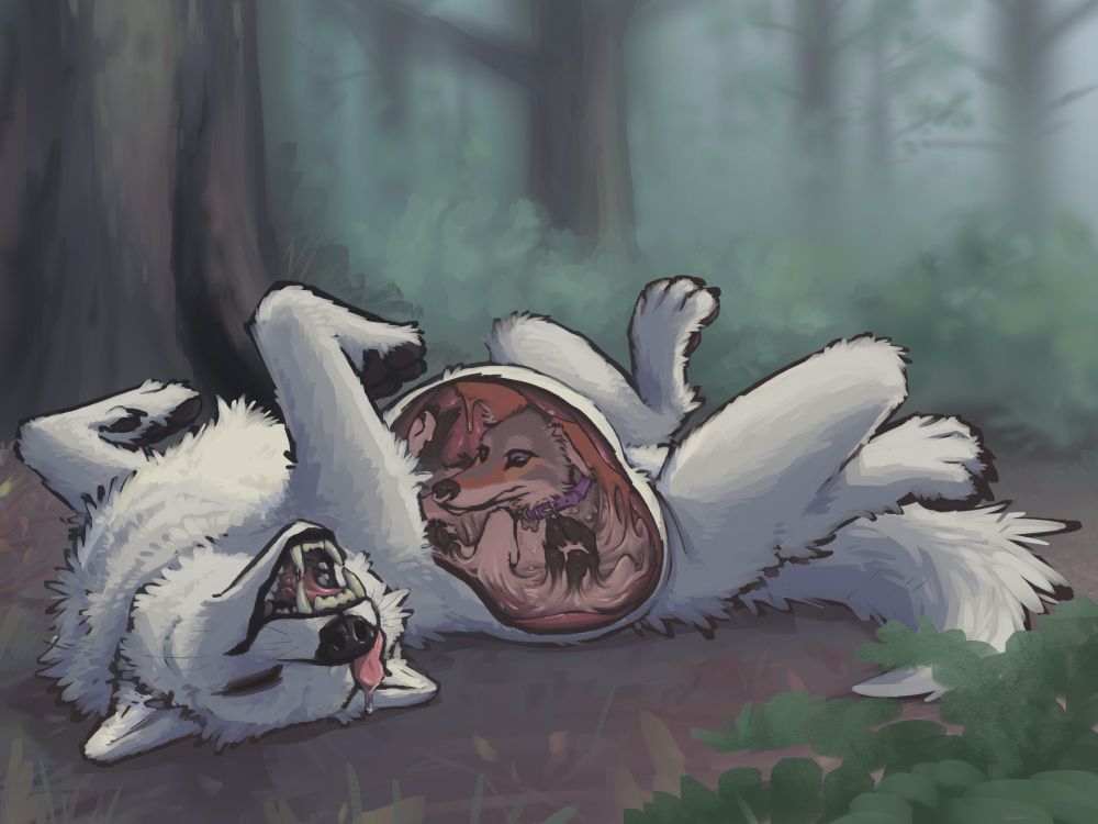 the something sizable is a coyote with purple eyes and a purple radio collar, half-melted, like ice cream left in the sun on a 105 degree day.