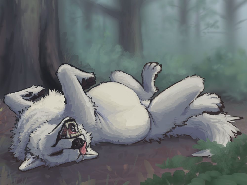 the white wolf is lying on their back in a redwood forest, mouth open, tongue lolling out. they ate something sizable.