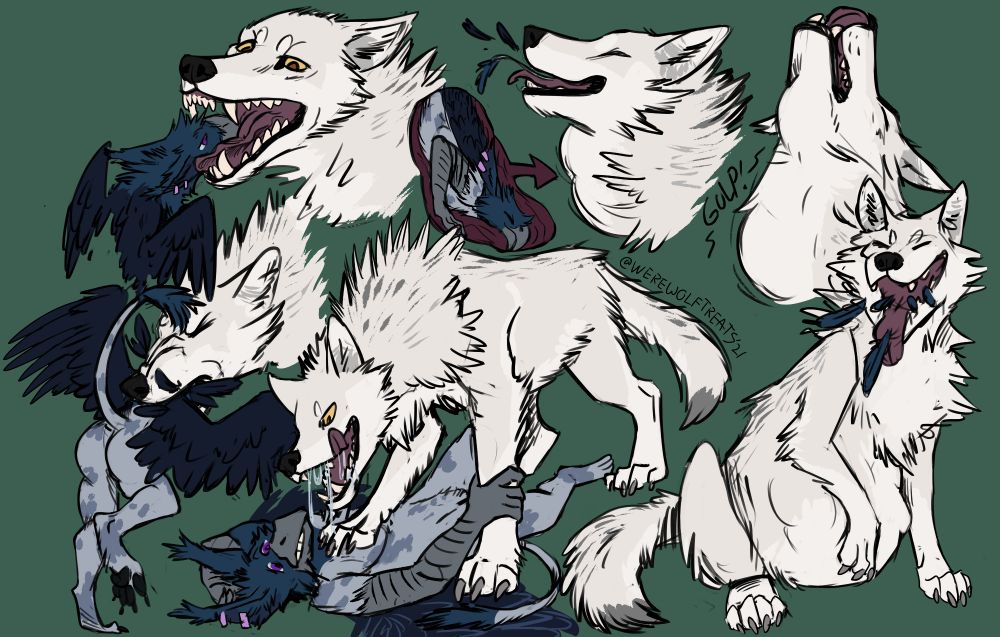 the wolf, four-legged, devours the gryphon