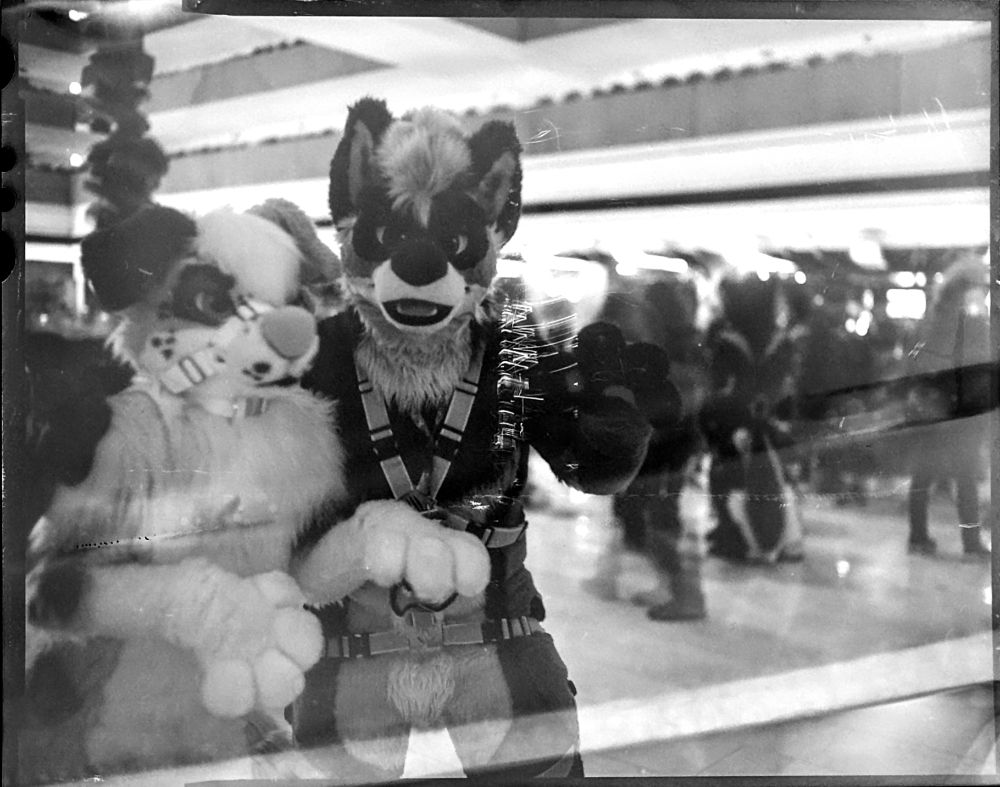 Kizma and sash posing for a long time for this black and white 4 by 5 picture on a antique camera.